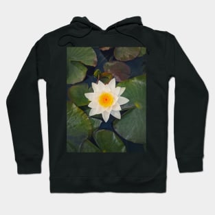 water lily on the lake Hoodie